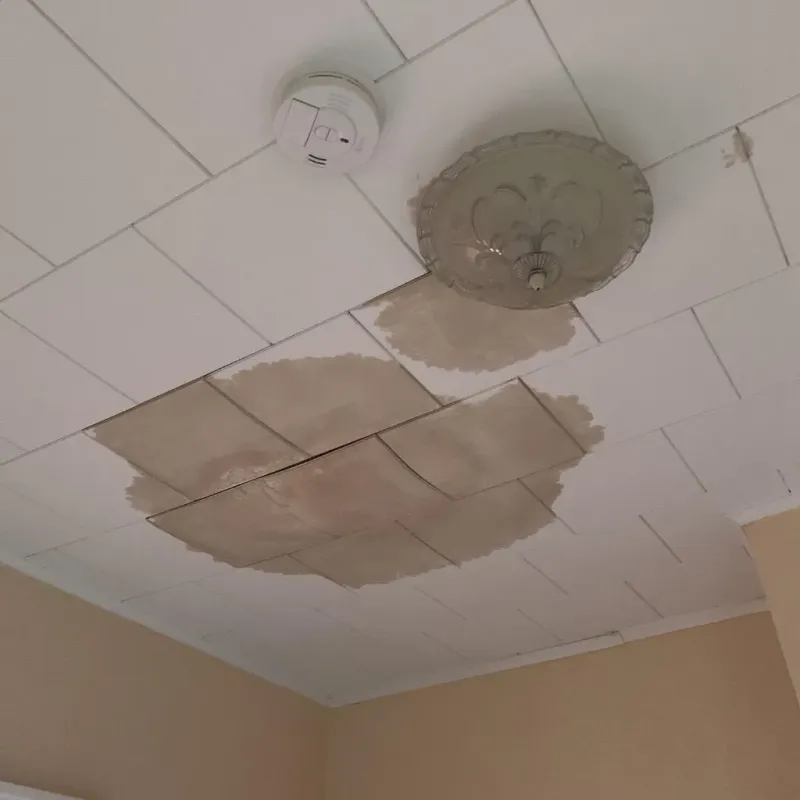 Ceiling Water Damage Repair in Slater, MO