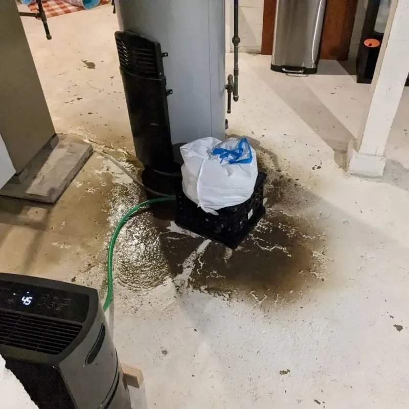 Sewage Backup Cleanup Service in Slater, MO